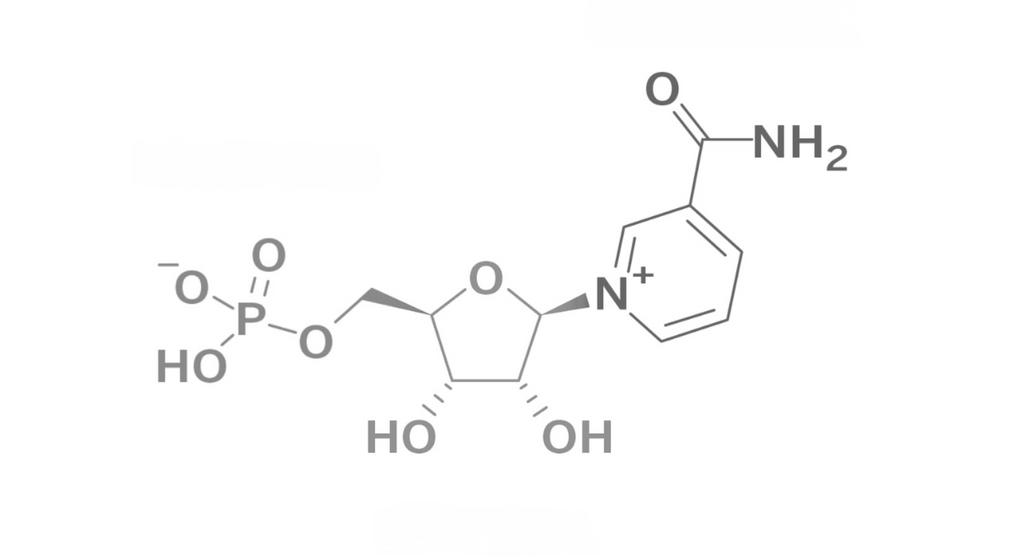 The Benefits of NMN: A Comprehensive Look at the Promising Anti-Aging Supplement