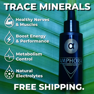 Trace Mineral Drops | Concentrate | 2oz